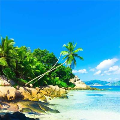 天空体育中文版